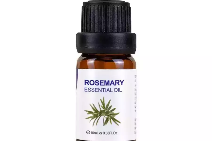 Rosemary Essential Oil 10ml / Free Shipping , United Arab Emirates, AED 77