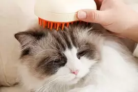 Steamy Cat Brush Cat Dog Grooming Comb Electric Self Cleaning Steam Cat Brush For Massage Avocado Shape Pet Spray Cat Grooming / Free Shipping