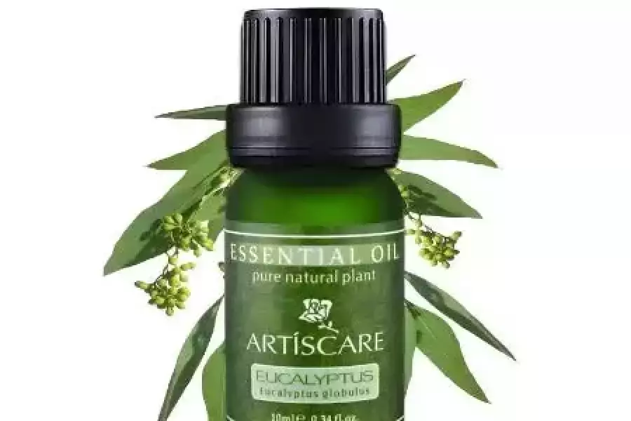 Skin Care Massage Oil 10ml / Free Shipping, United Arab Emirates, AED 42