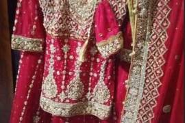 Ladies formal | wedding lehenga | lehenga | (DEMANDING ARTICLE), Multan